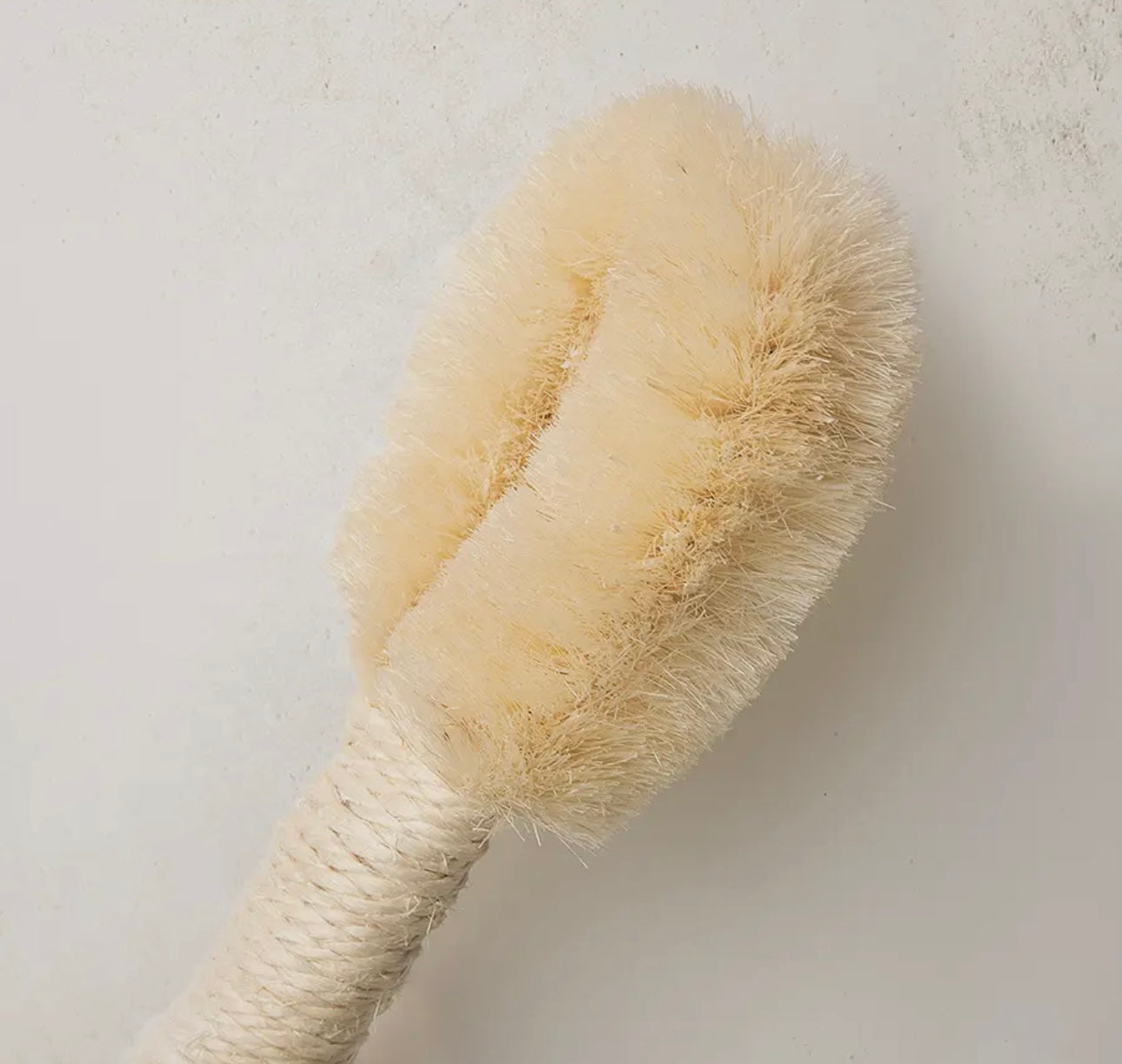 Bamboo Dry Brush