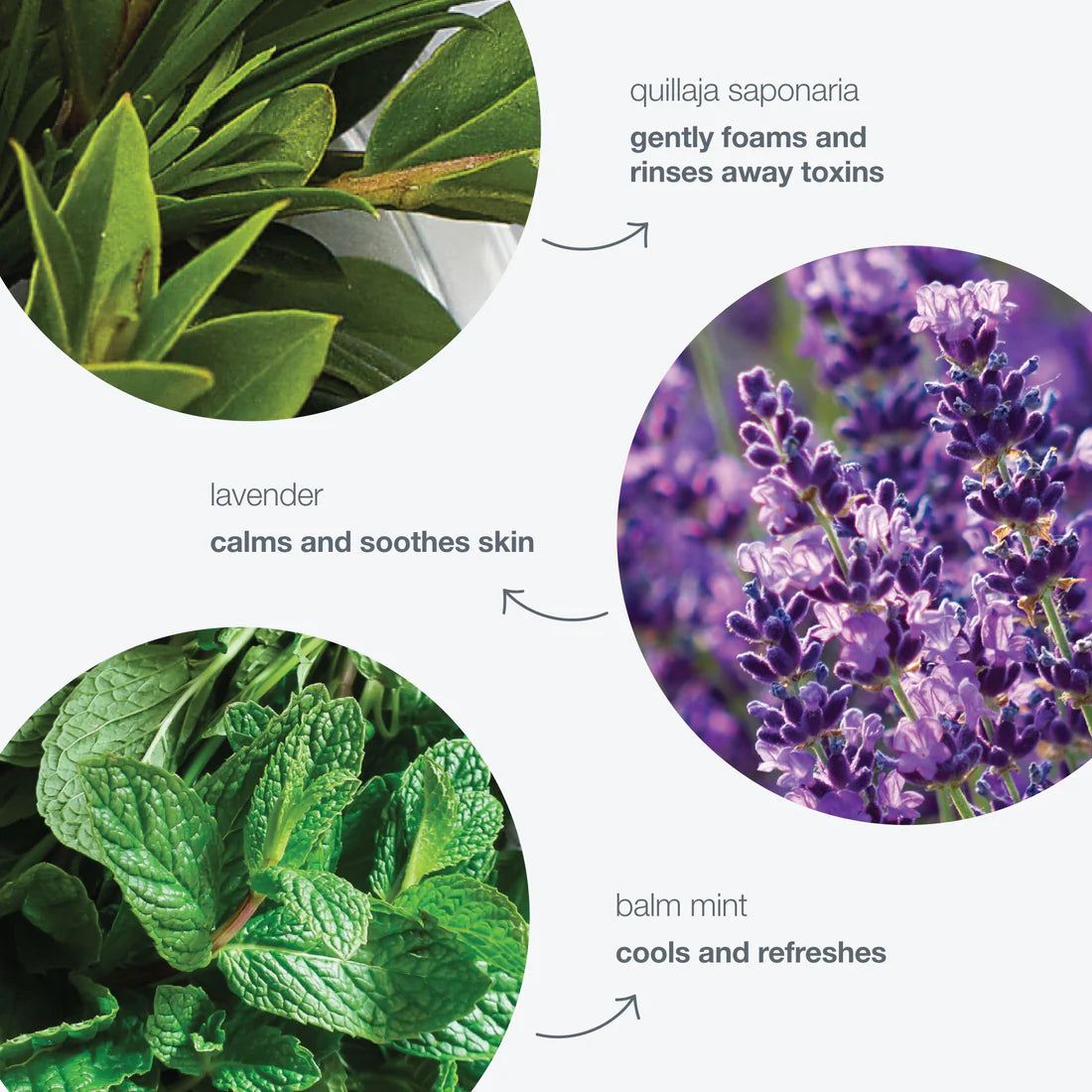 Dermalogica special cleansing gel