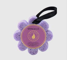 Load image into Gallery viewer, Spongelle French Lavender Sponge Wash
